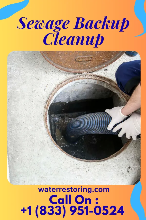Sewage Backup Cleanup in Pepper Pike, OH