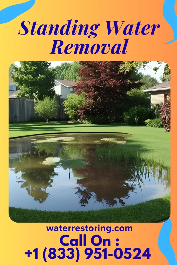 Standing Water Removal in Pepper Pike, OH